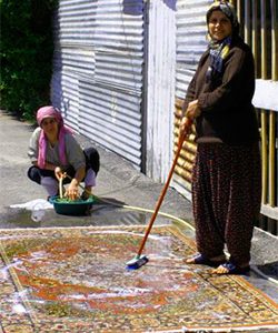 Scrub that rug