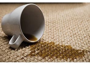 rug stain removal Toronto