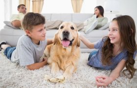 How Often Should You Clean Your Area Rugs?