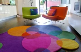 Rugs: All you Need to Know about Bugs & Moths
