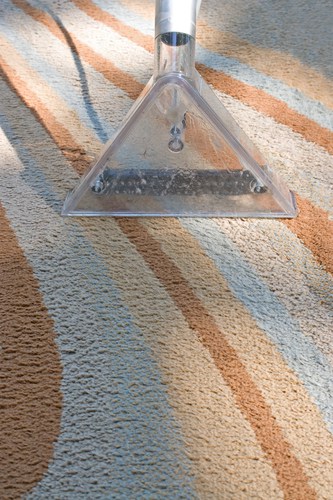 A carpet cleaner in action on a contemporary rug.