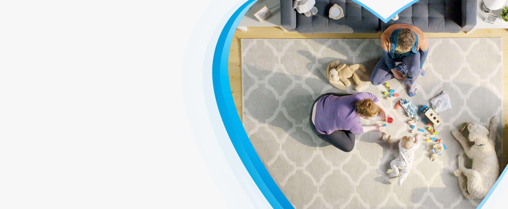 Rug Cleaning Toronto LoveYourRug Toronto Carpet Cleaners