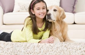Dangers from Pet Urine on Rugs