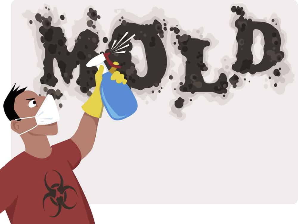 Get rid of mildew odor from rugs