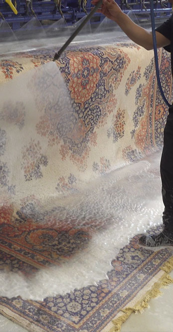 Oakville Rug Cleaning