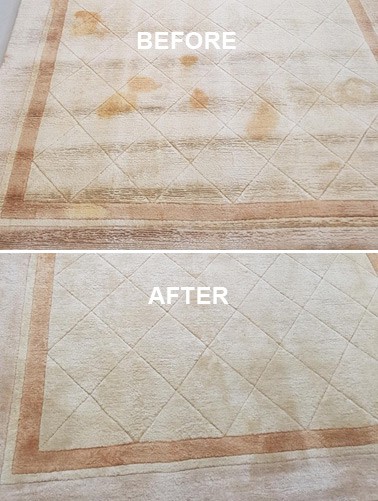 Area rug stain removal totonto