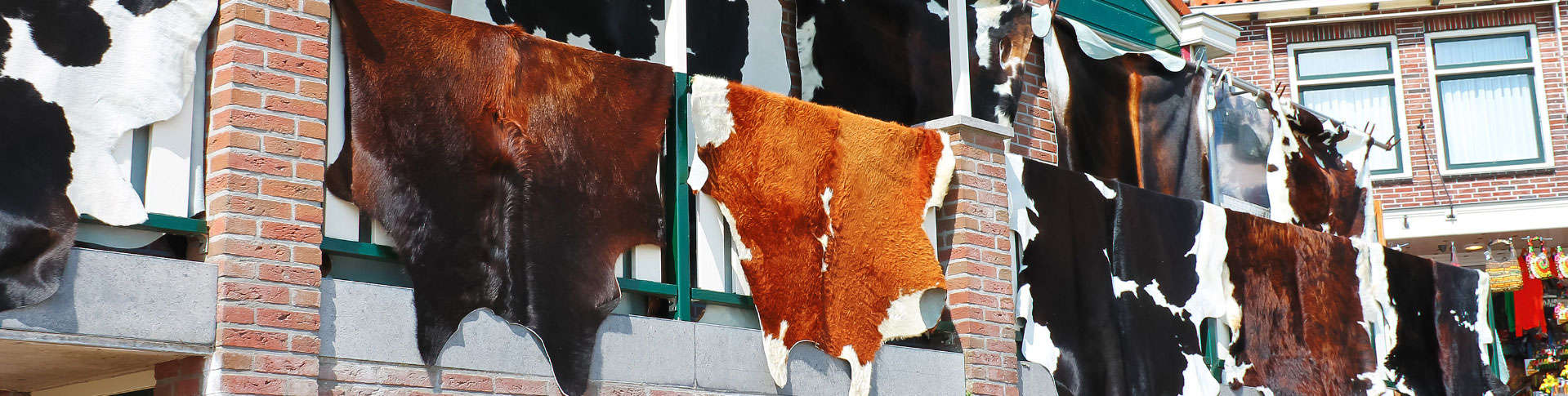 Cowhide Rug Pickup and Delivery