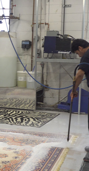 Rug Cleaners Hamilton