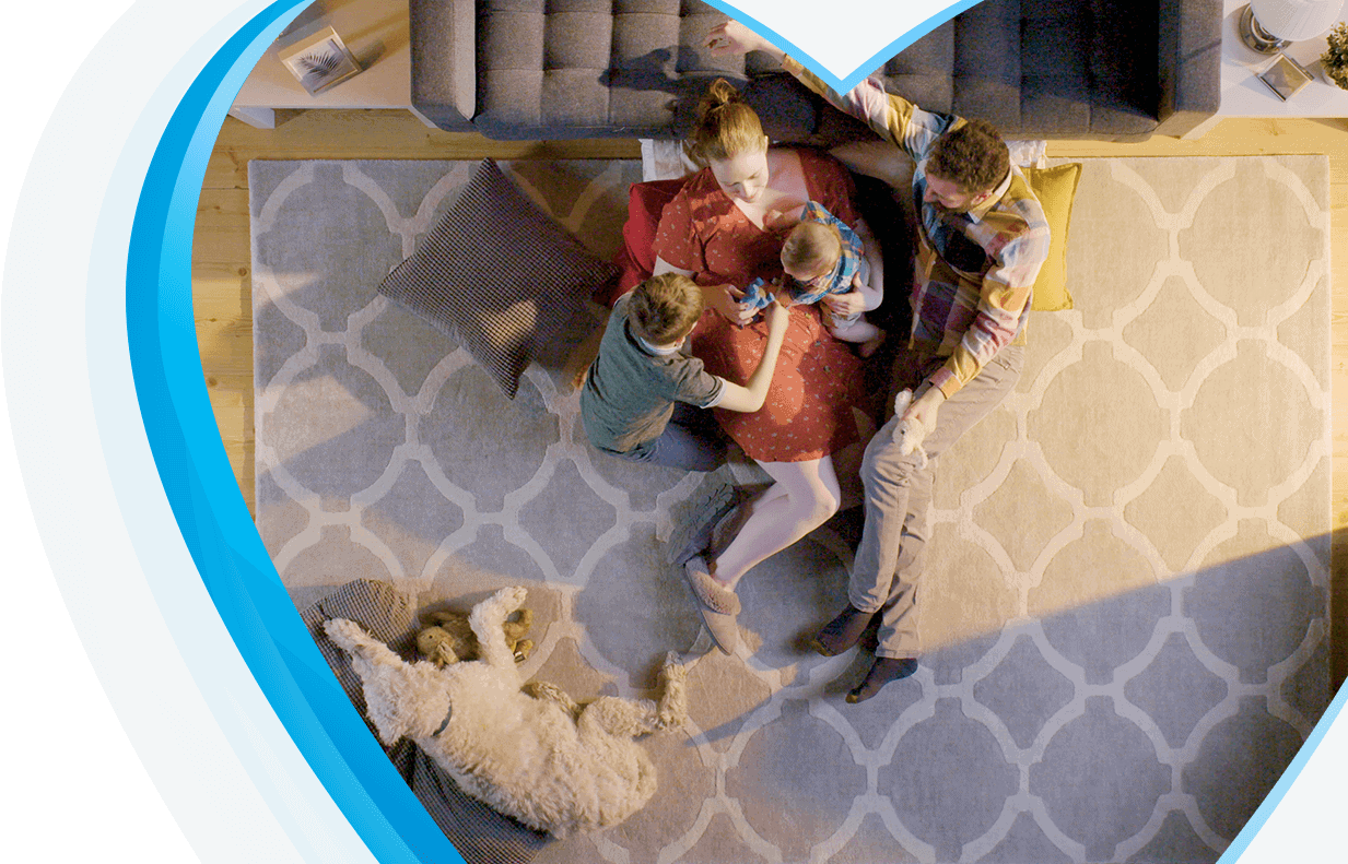 Rug Cleaning Cambridge Carpet Cleaners LoveYourRug.ca