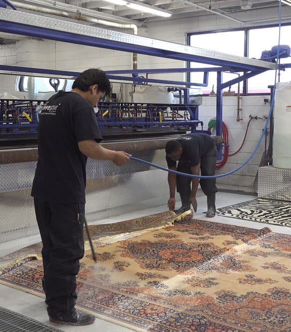 Rug Cleaning Newmarket