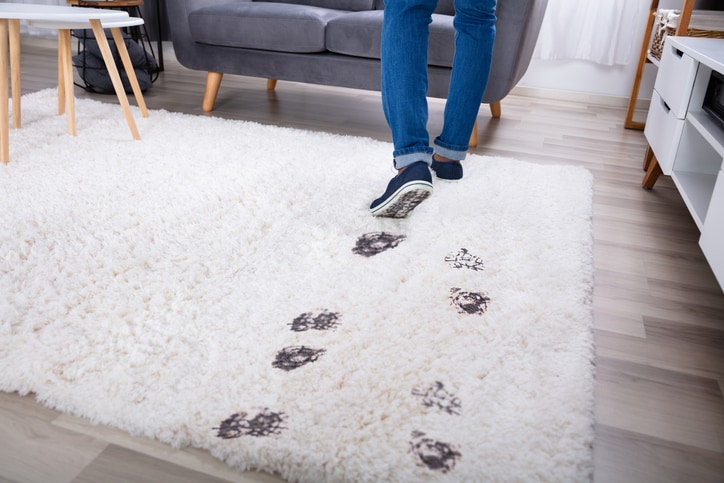 Best Stain Remover Tips for Rugs