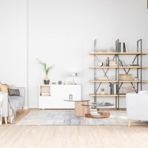 Bookshelf, armchair and sofa in living room