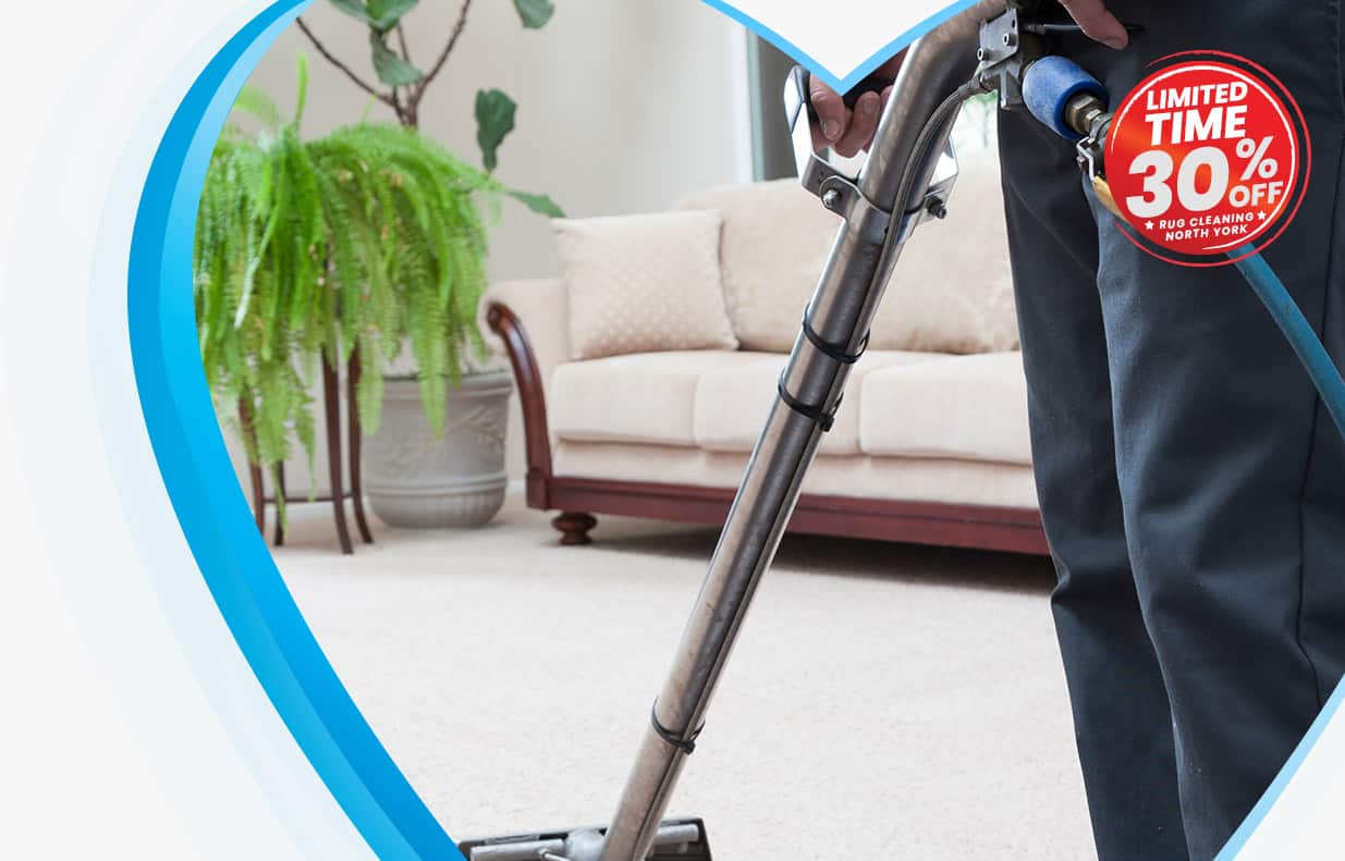 Rug Cleaning North York Carpet Cleaners Love Your Rug
