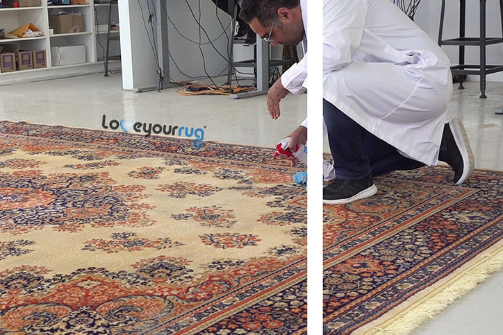 In-Home Extraction vs In-Plant Rug Washing