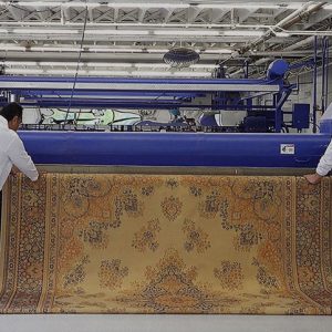 Professional rug cleaning toronto