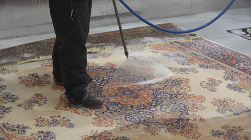 toronto area-rug-disinfectant