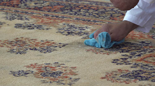 area rug enzyme treatment toronto east