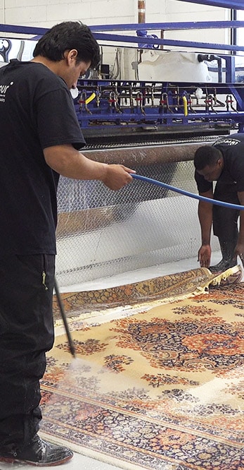 Rug Cleaning Near Me Scarborough