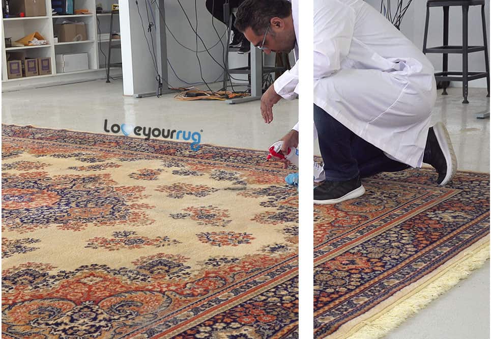 Rug Cleaning Pre Treatment Burlington