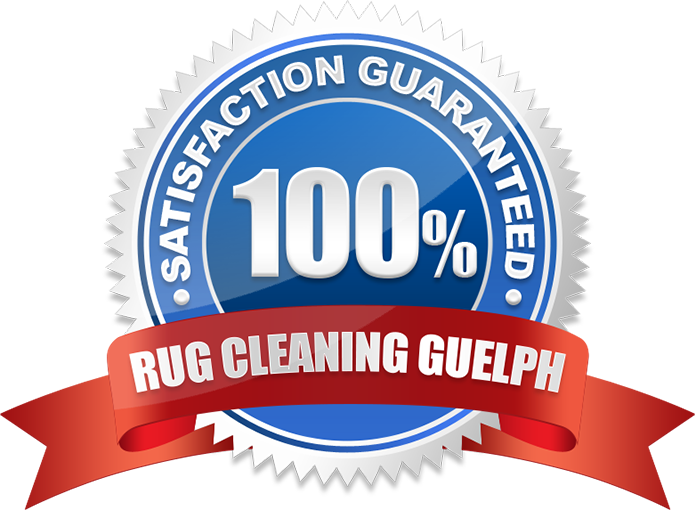 rug cleaning guarantee guelph