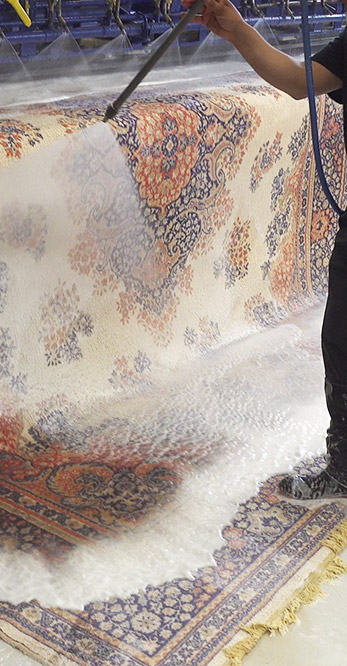 Rug Cleaning Near Me Milton