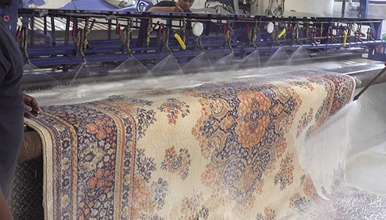 Area Rug Machine Wash Toronto