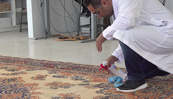 Area Rug Cleaning Pre Treatment North York