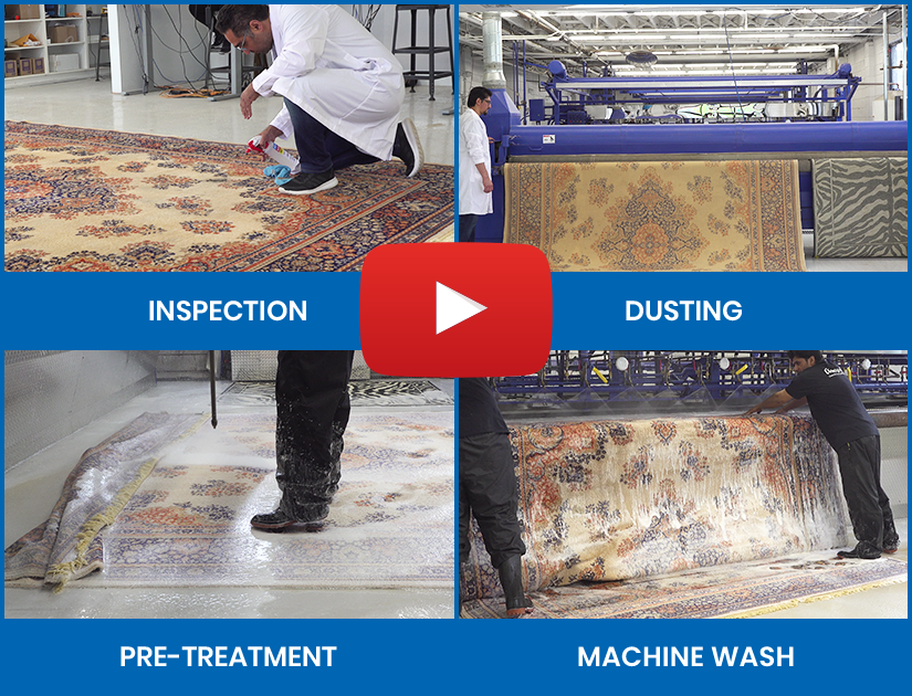 Rug Cleaning Process Video Toronto