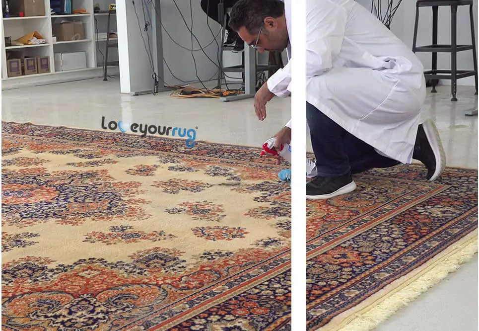 Rug Cleaning Dusting Machine