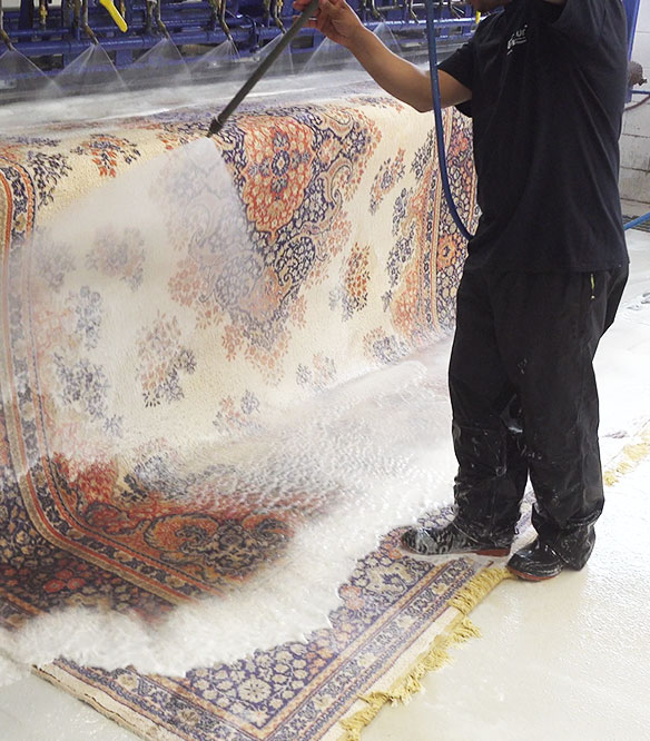 which is the best rug cleaning service in Georgetown