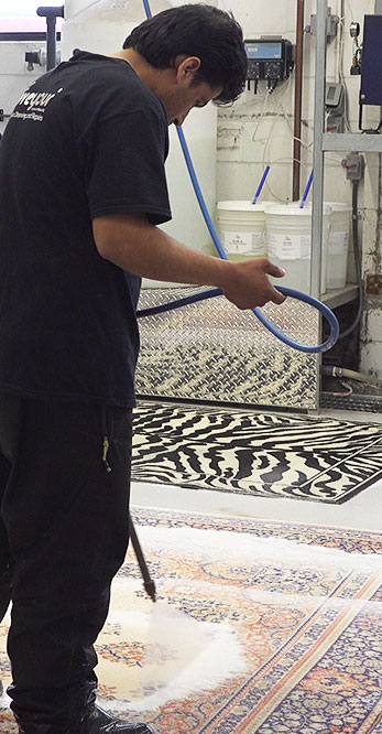 professional rug cleaning in Georgetown