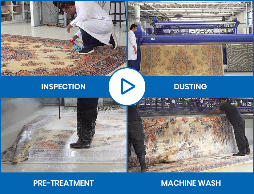 Rug Cleaning Process Video Toronto