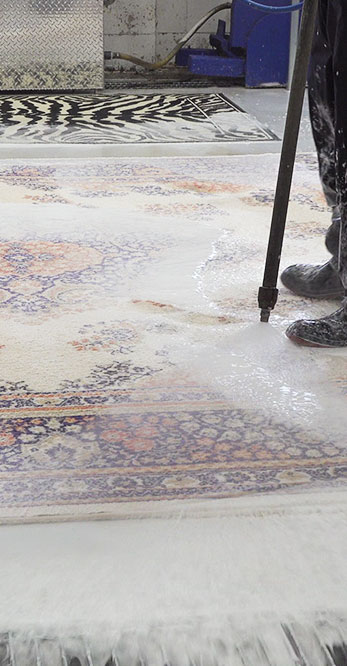 best rug cleaning services near me