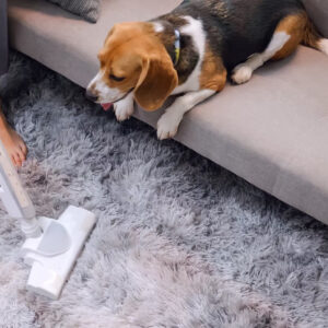 rug with dog smell