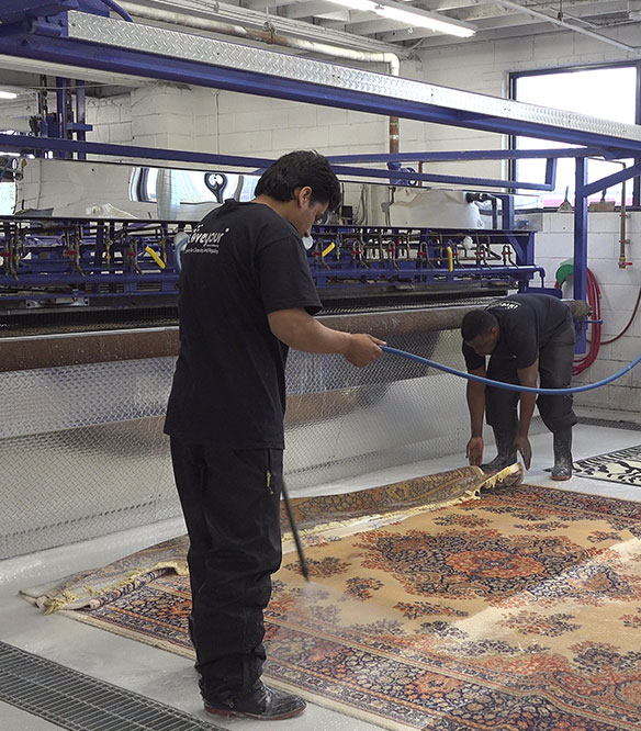 rug cleaning service courtice