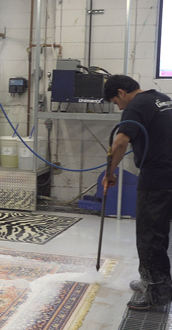 rug cleaners thornhill