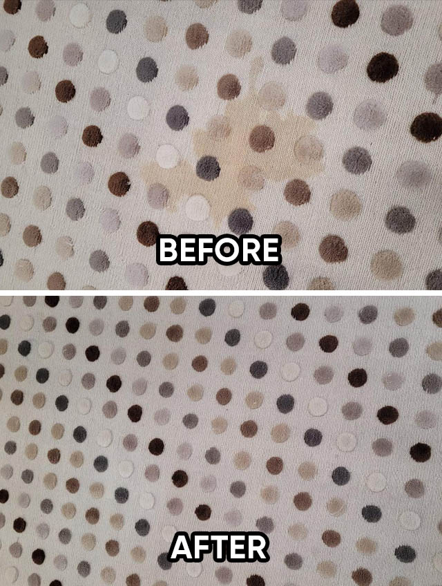 Rug Stain Removal After