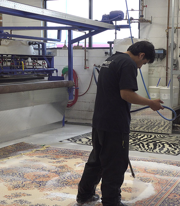 Rug cleaning near me
