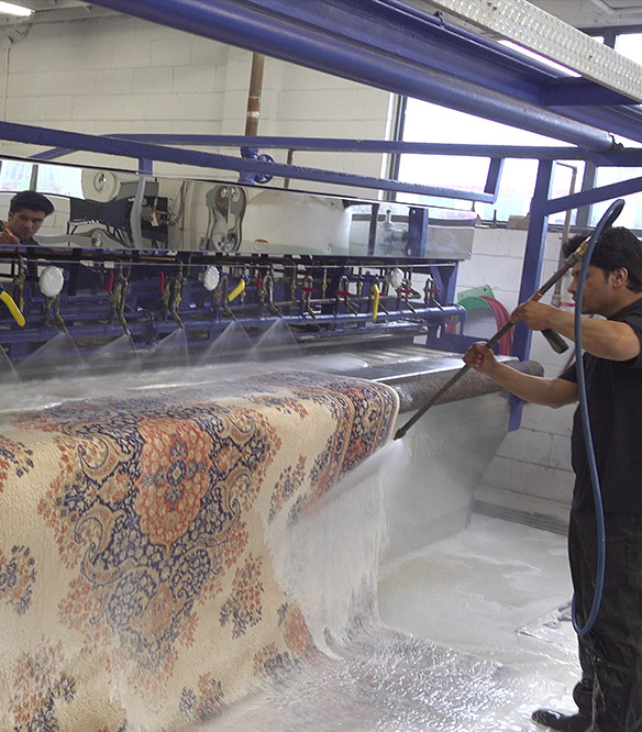 Rug cleaning near me