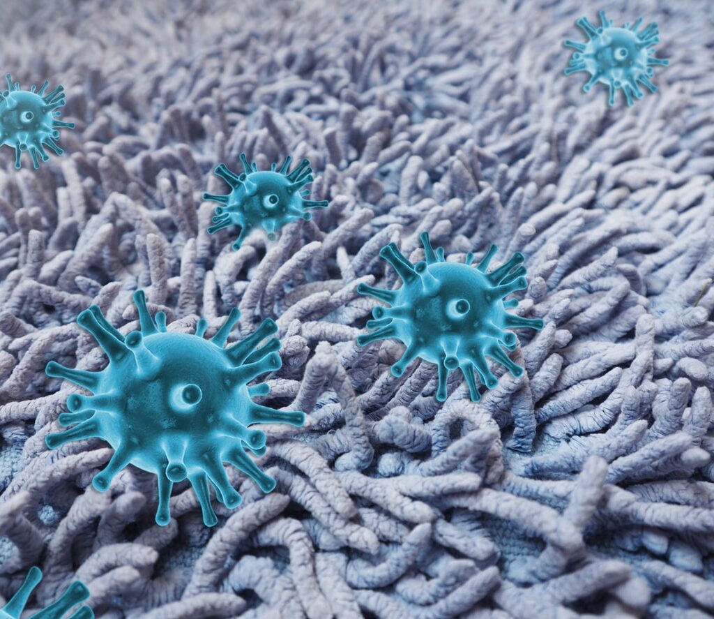 carpet cleaning for allergies