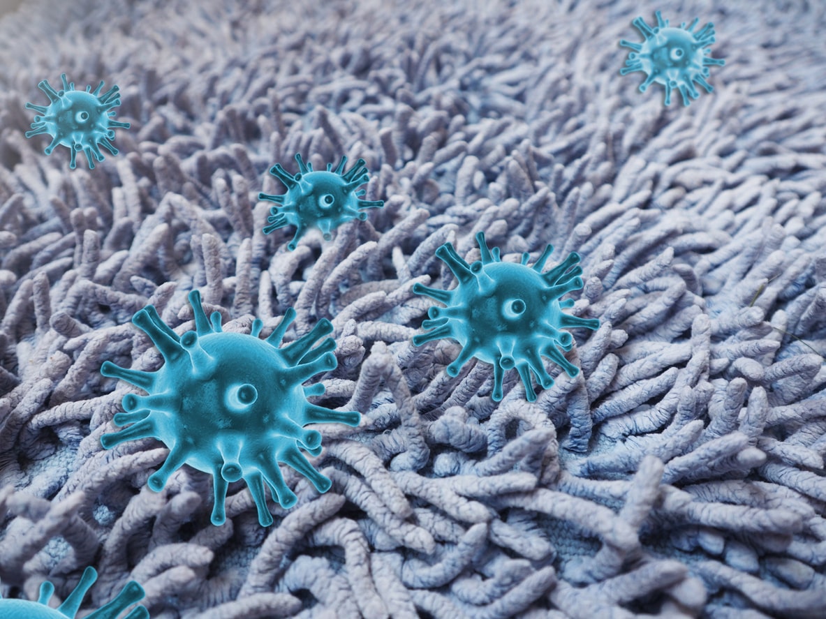 The Importance of Regular Carpet Cleaning for Allergy Prevention