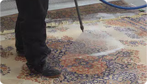 best carpet cleaner hamilton protection