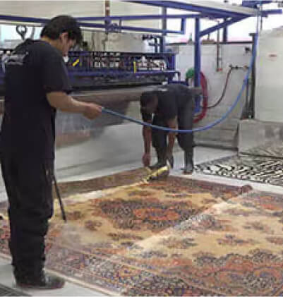 Carpet Disinfectant​