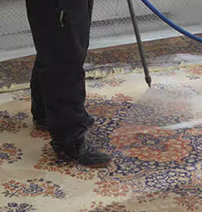 Carpet Enzyme Treatment
