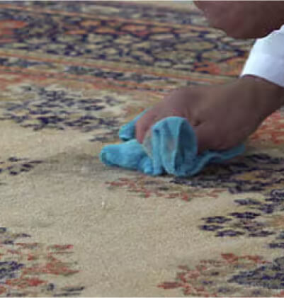Carpet Stain Removal