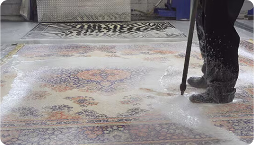 disinfection and deodorization hamilton