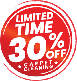 Limited Time 30% OFF Cleaning & Repair