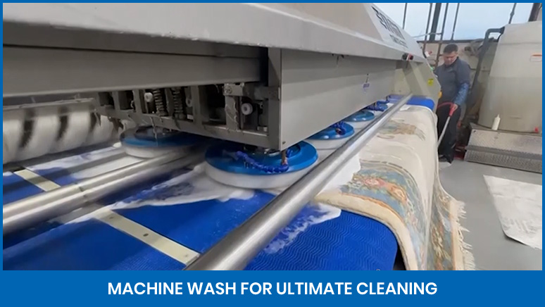 Love Your Rug Video 2024 (2)