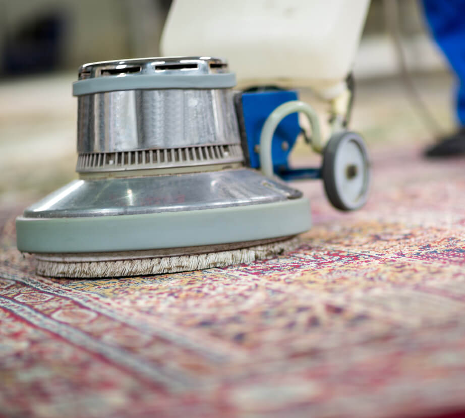 carpet cleaning costs in Windsor