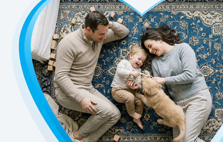 carpet & rug cleaning Sudbury m